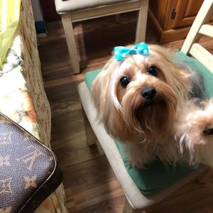 Meet your Posher, Corina